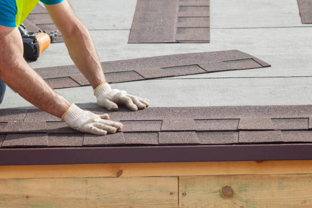 Best Roof Moss and Algae Removal  in Ellwood City, PA